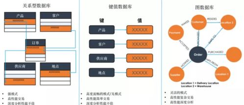數字化轉型浪潮下，TigerGraph圖技術能否成為數字技術服務新寵兒？