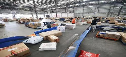 2026年q1國際貨運熱門公司盤點與聯系全攻略